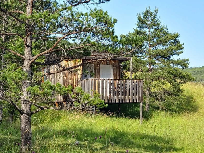 Cabane en bois perchée, entourée de verdure et de pins, offrant un cadre naturel paisible.