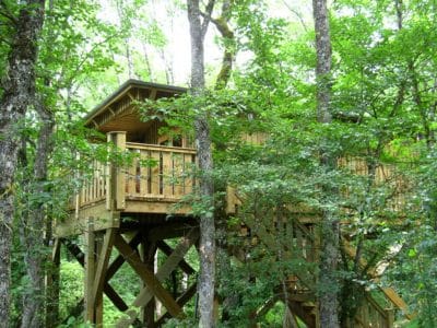 Cabane Perchée Jurassique – vue 2