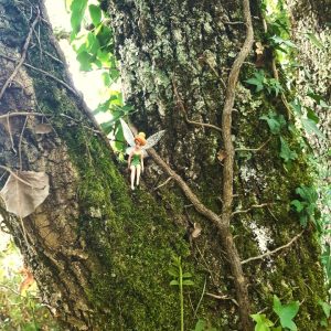 101519600_10222031891896492_6031272151133192192_n (1)