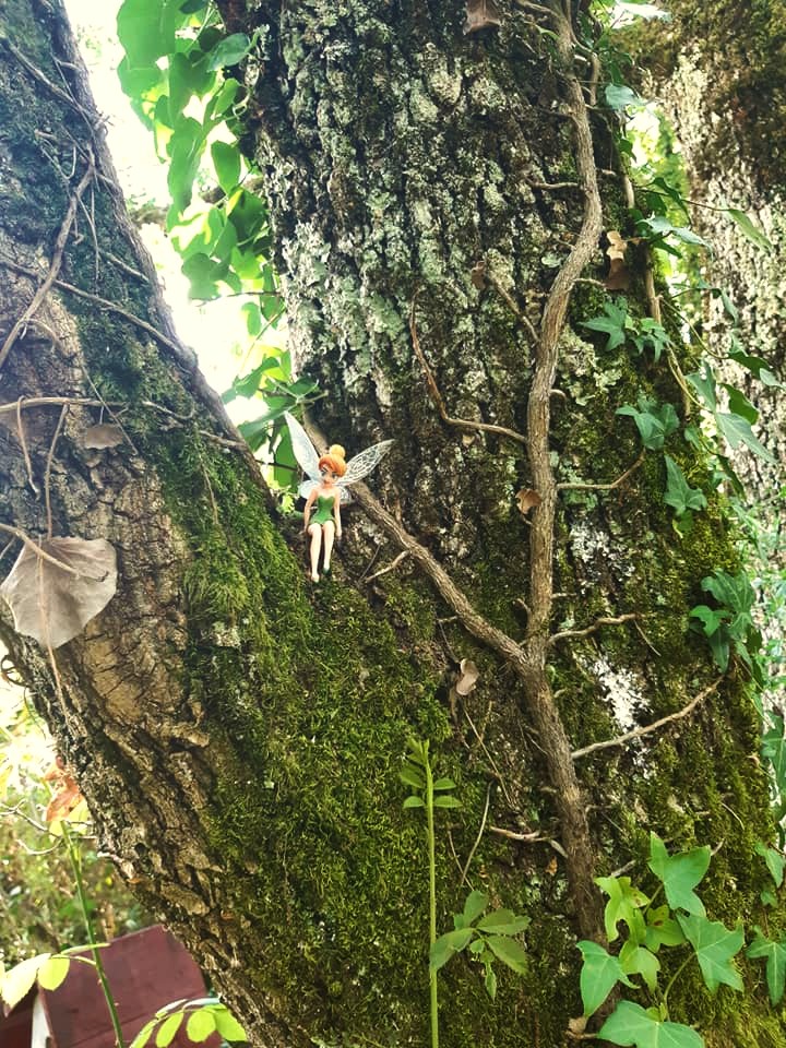 101519600_10222031891896492_6031272151133192192_n (1)