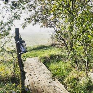 246155063_10216601527949933_1082627374849743616_n