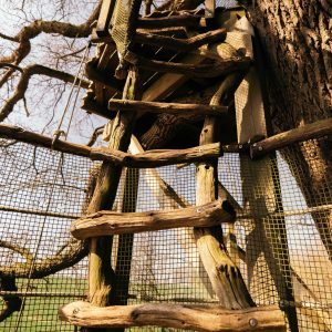 Baron Perché escalier terrasse