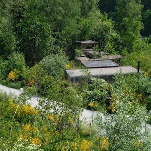 Copyright Nutchel – Ineke – Les Ardennes – June 2023 -35