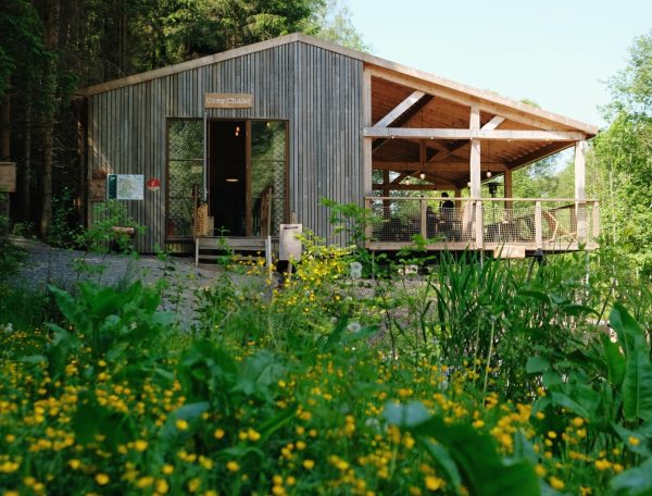 Copyright Nutchel - Ineke - Les Ardennes - June 2023 -87