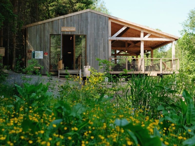 Copyright Nutchel - Ineke - Les Ardennes - June 2023 -87