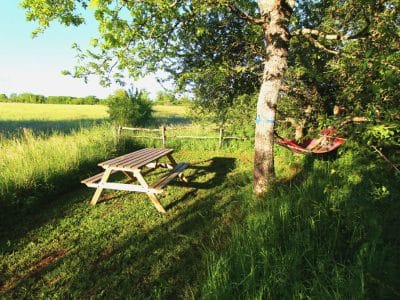 Maison Hobbit – vue 4