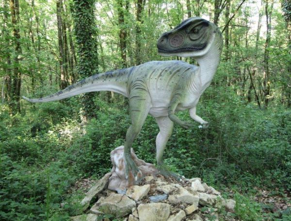 IMG_1800-Copie