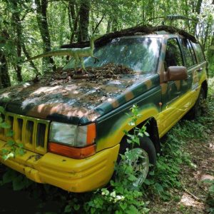 IMG_20210527_1133091