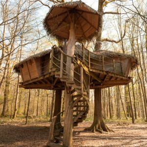 Robin-des-Bois-exterieur-OK-scaled-e1774462837788