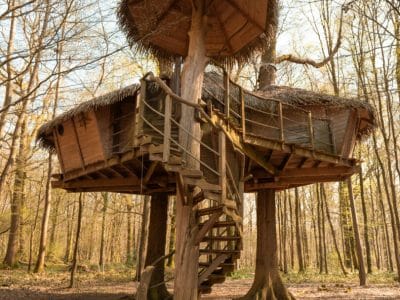 Cabane Robin des Bois – vue 4