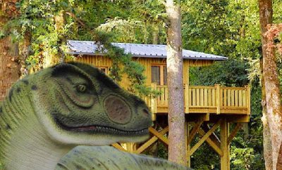 Cabane Perchée Jurassique