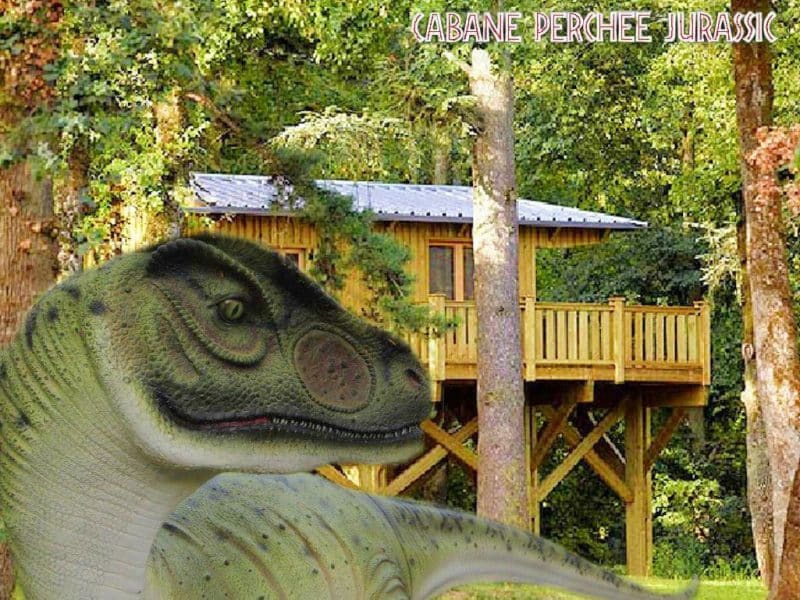 Cabane Perchée Jurassique – vue principale
