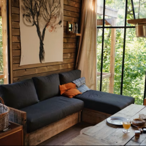 nutchel_alsace_-_june_2023_-_copyright_nutchel_-_ineke_-_50