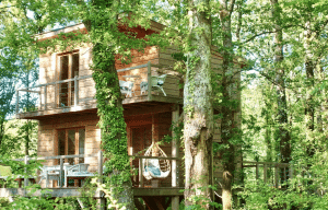 Cabane dans les arbres