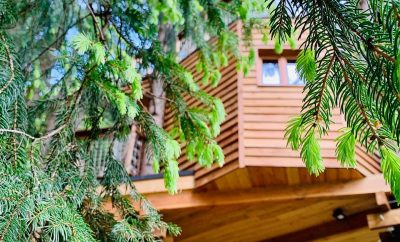 Cabane dans les Arbres de Valmo Insolite