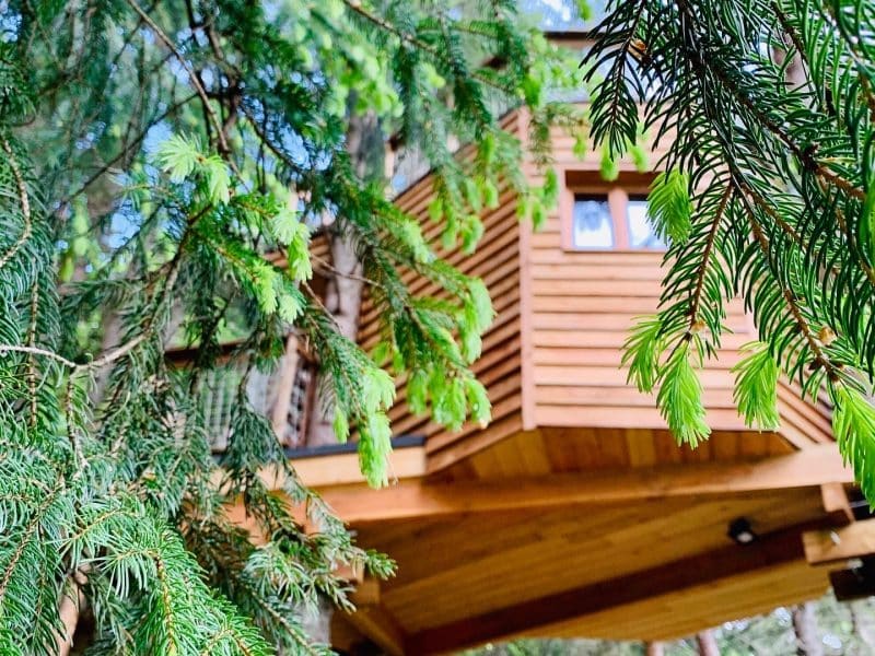 Cabane dans les Arbres de Valmo Insolite – vue principale