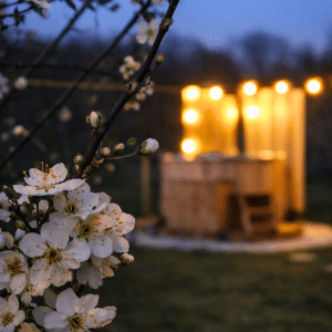 Bain nordique illuminé au crépuscule et fleurs de printemps
