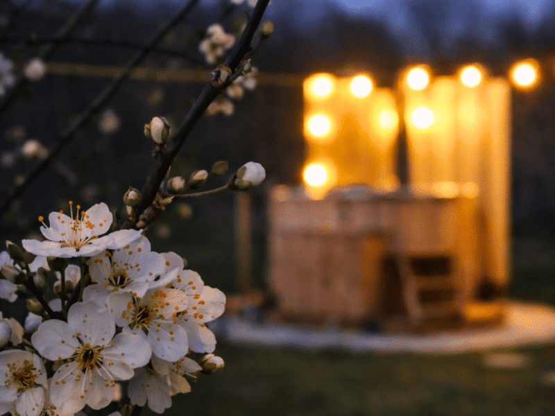 Bain nordique illuminé au crépuscule et fleurs de printemps