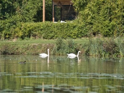 Escapade luxe avec bain nordique au bord du canal – vue 2