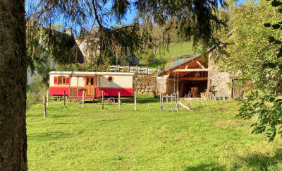 Week-end insolite en famille : pourquoi Le Gîte des Ânes à Chroniques coche toutes les cases