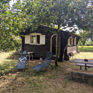 PXL_20260613_103209159