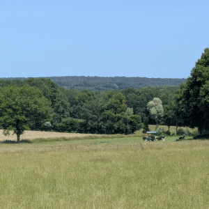 PXL_20260613_105529428
