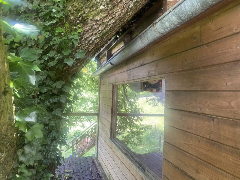 derriere cabane 1