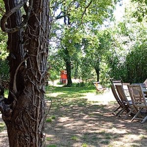 IMG_20260619_155957