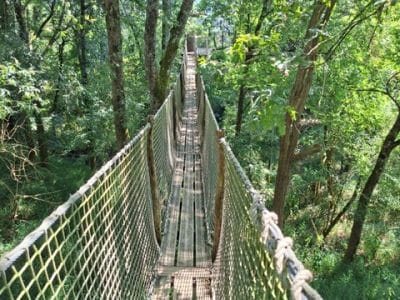 Cabane perchée spa Sur Mon Arbre Perché – vue 2