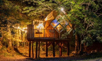 La Pomme de Pin Perchée, cabane romantique pour 2