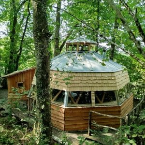 Séléné prise du haut de la forêt