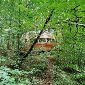 Séléné vu de la forêt
