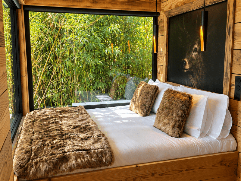 Suite Refuge • Écrin de luxe & spa au bord du canal – vue principale