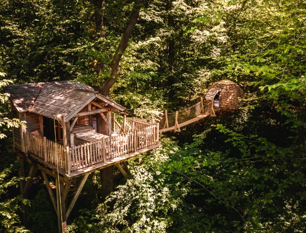 Cabane dans les arbres en Bourgogne-Franche-Comté, entourée de verdure luxuriante.