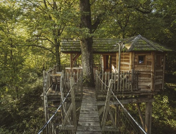 Cabane perchée en bois dans les arbres, entourée dune verdure luxuriante.