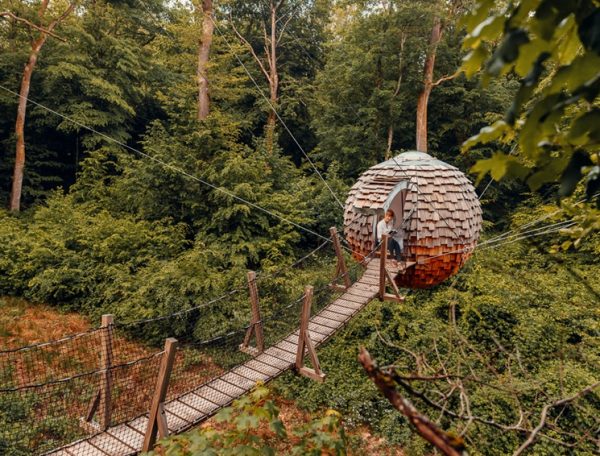 Cabane dans les arbres en Bourgogne-Franche-Comté, accessible par un pont suspendu.