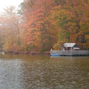 cabane-royale-grands-reflets-13