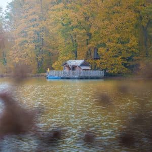 cabane-royale-grands-reflets-14
