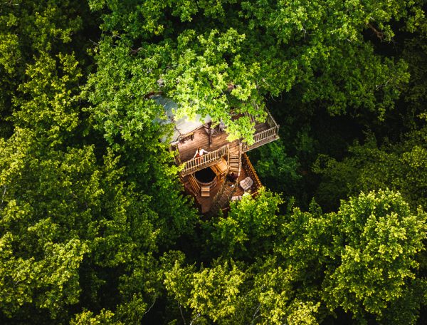 Cabane perchée en bois entourée darbres, offrant une vue imprenable sur la nature.