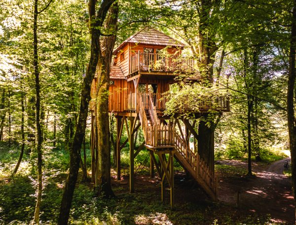 Cabane dans les arbres en Bourgogne-Franche-Comté, perchée au cœur dune forêt verdoyante.