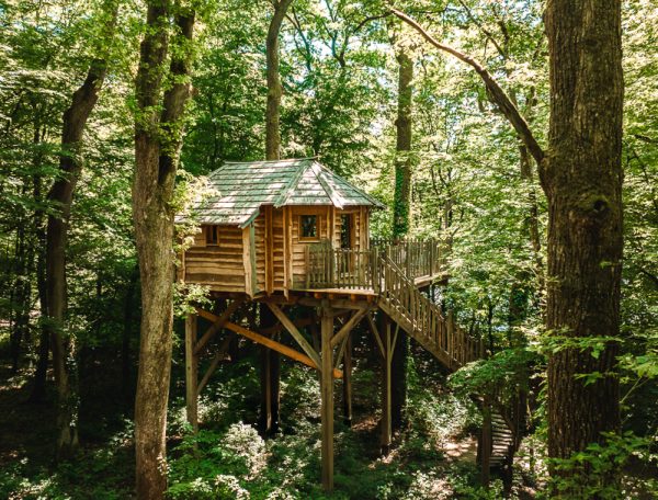 Cabane perchée en bois dans les arbres, entourée dune forêt verdoyante.