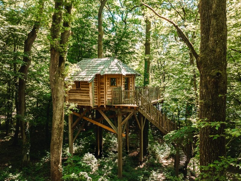 Cabane Spa Détente – vue principale