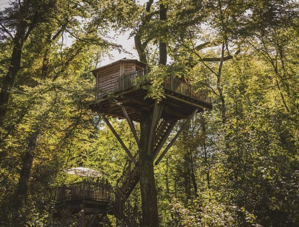 Cabane perchée dans les arbres, entourée de verdure en Bourgogne-Franche-Comté.