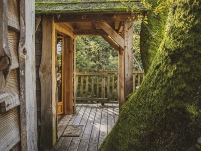 Cabane Spa Écho – vue 3