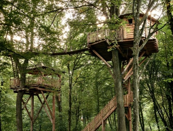 Cabane perchée en bois dans les arbres, entourée dune forêt verdoyante.