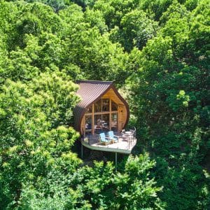 cabane_insolite_chataigne