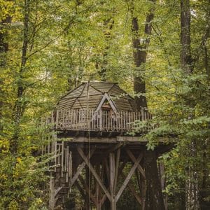 Cabane perchée dans les arbres, entourée dune forêt verdoyante et paisible.