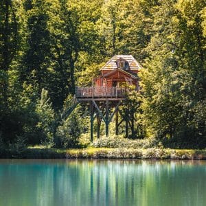Cabane dans les arbres au bord dun lac, entourée de verdure luxuriante.