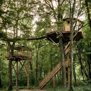 Cabane dans les arbres, perchée entre les feuillages, offrant une vue panoramique.