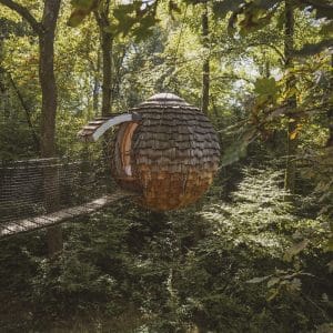 Cabane suspendue en bois, nichée dans les arbres, offrant une vue sur la forêt verdoyante.